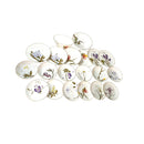 Servizio piatti flora Royal Copenhagen