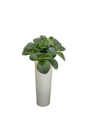 Vaso da terra in porcellana bianco