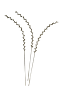 Rami di mimosa in acciaio