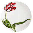 Set piatti tavola taitù