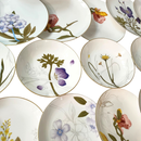 Servizio piatti flora Royal Copenhagen