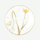 porcelain teacup with plate