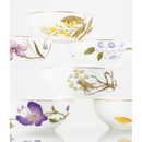 6 pieces set of porcelain fruit salad / ice cream cups