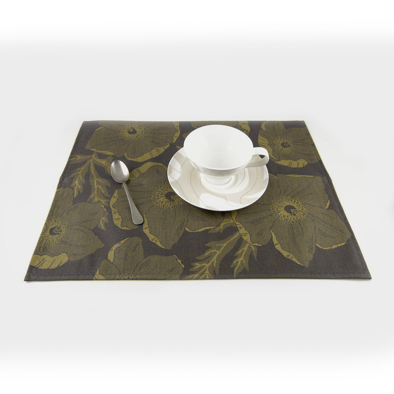 2 pieces set of stain-resistant placemats