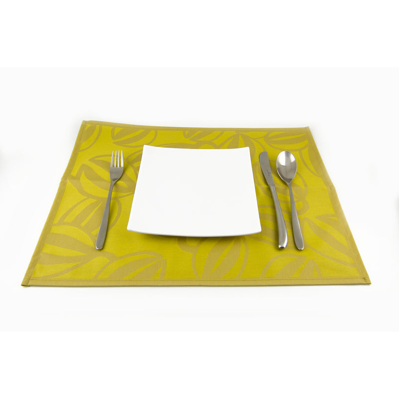 2 pieces set of stain-resistant placemats