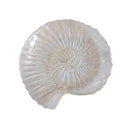 Set piatti conchiglia in vetro trasparente